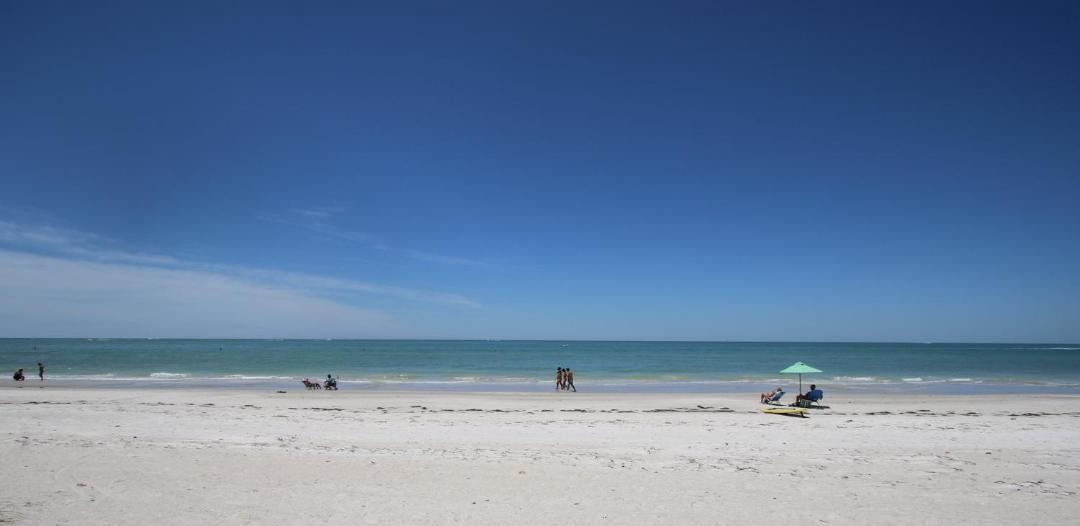 Photo of Others in Madeira Beach