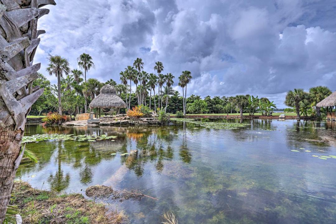 Photo of Others in Tropic