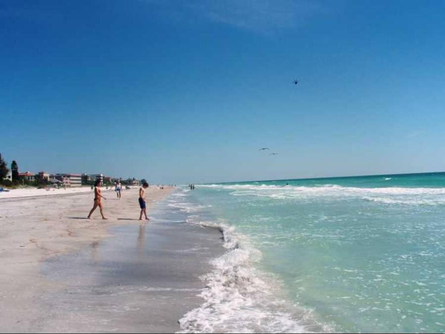 Photo of Others in Clearwater