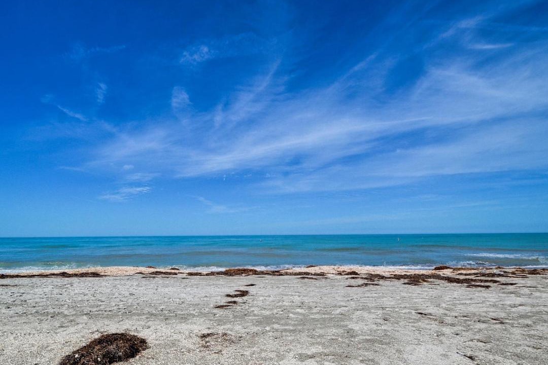 Photo of Others in Belleair Beach