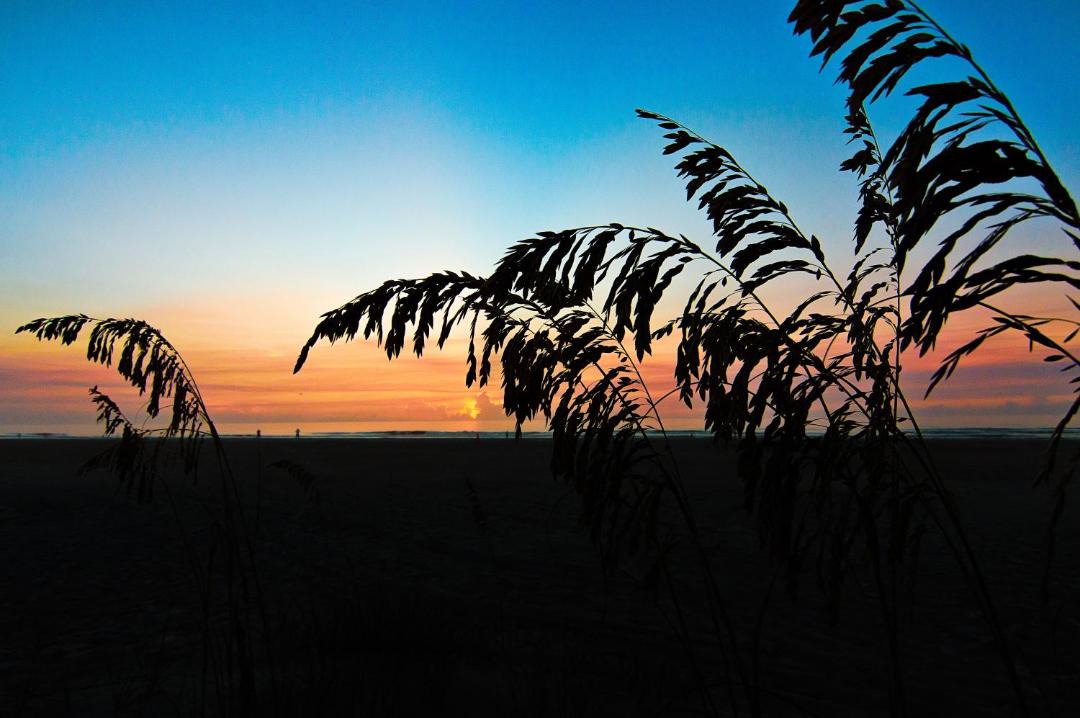 Photo of Others in St. Augustine Beach