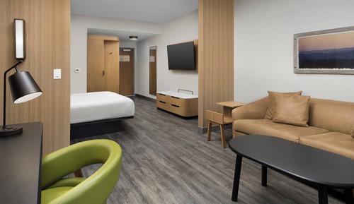 Suite, 1 King Bed with Sofa bed