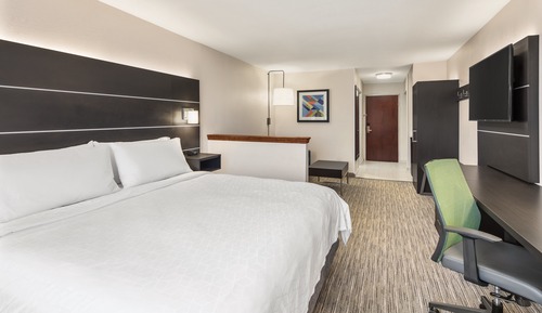 Suite, 1 King Bed with Sofa bed