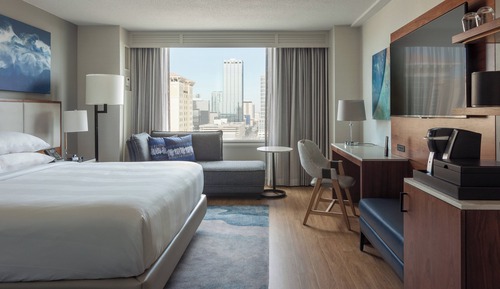 Room, 1 King Bed