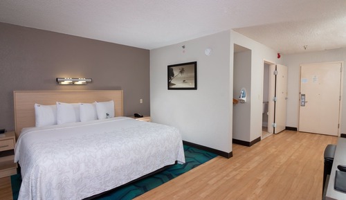 Superior Room, 1 King Bed (Accessible,Smoke Free, Roll-In Shower)