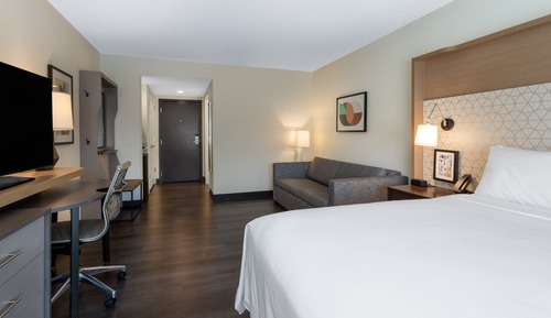 Standard Room, 1 King Bed with Sofa bed