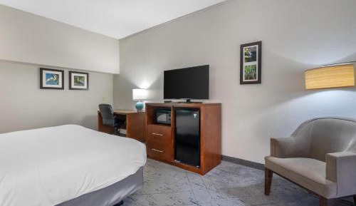 King Room with Roll-In Shower - Disability Access