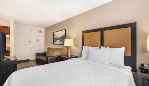 Deluxe Studio with 1 King Bed - Non-Smoking