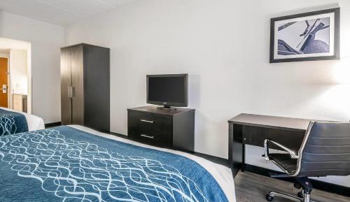 Queen Room with Two Queen Beds - Pet Friendly