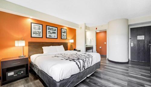 King Room - Non-Smoking
