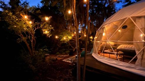 Tent