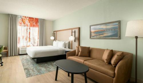 Studio with King Bed and Roll-In Shower - Mobility Access/Hearing Accessible