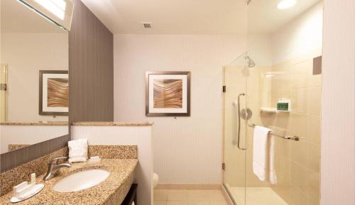 One-Bedroom King Suite with Two Sofa Beds