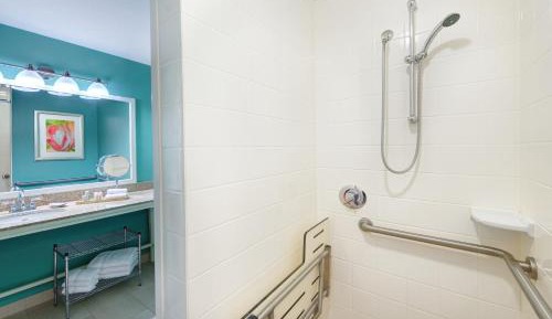 King Room with Roll In Shower - Non-Smoking