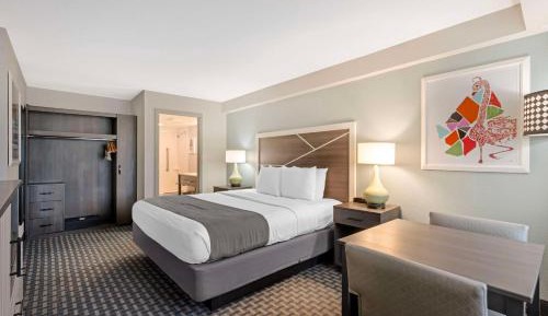 King Room with City View - Non-Smoking