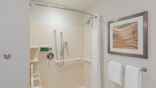 King Room with Transfer Shower and Roll-In Shower - Mobility Access/Hearing Accessible