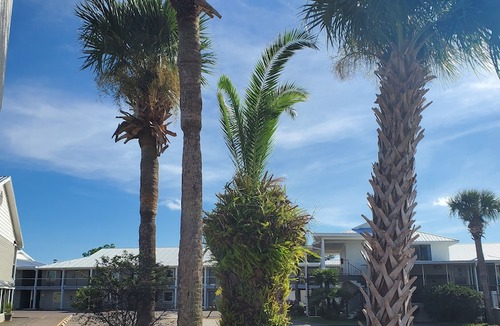 Titusville Hotel | Best Western Space Shuttle Inn