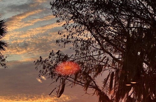 Tavares Cottage | Cottage On Private Estate - Central Florida Gorgeous Sunsets-Privacy-Convenient